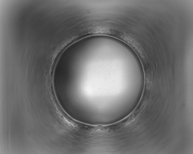 X0000073510721200608140933