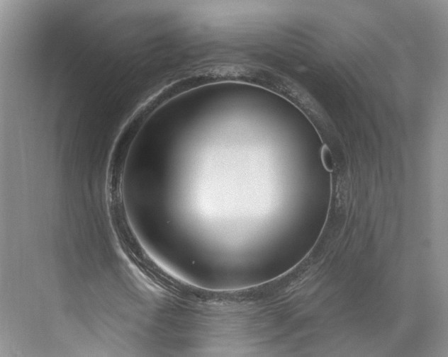 X0000073510722200608140933