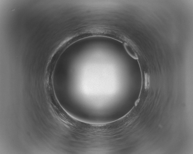 X0000073510723200608140933