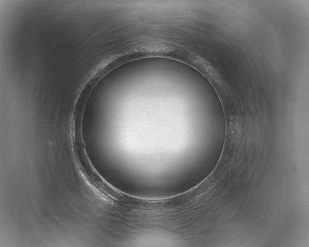 X0000073510726200608140933