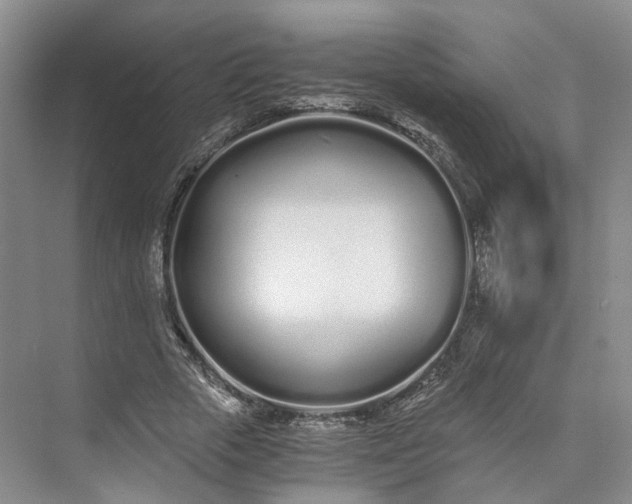 X0000073510729200608140933