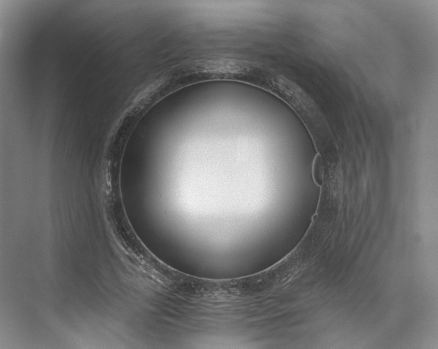 X0000073510731200608140933