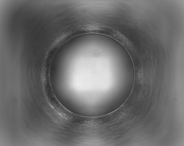 X0000073510732200608140933