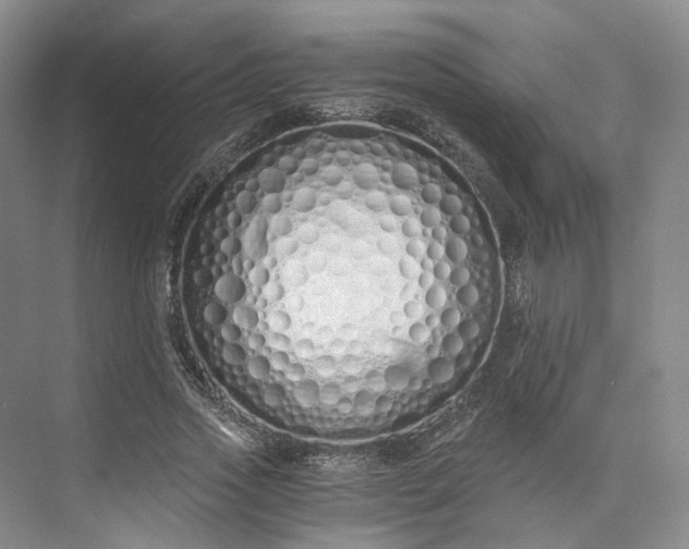 X0000073510733200608140933