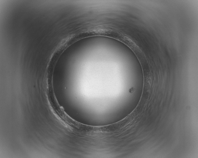 X0000073510734200608140933