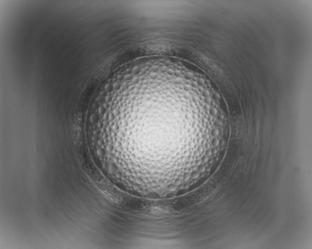 X0000073510737200608140933