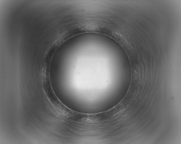 X0000073510739200608140933
