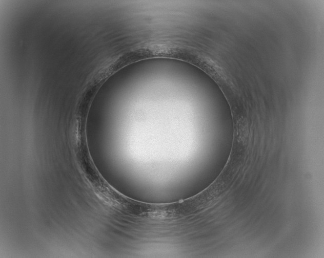 X0000073510740200608140933