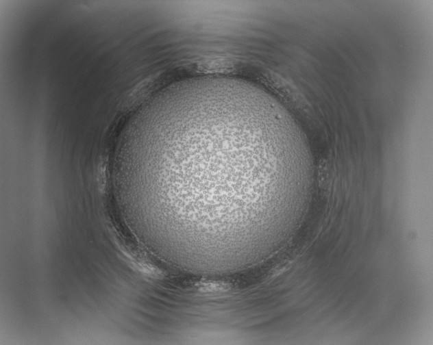 X0000073510741200608140933