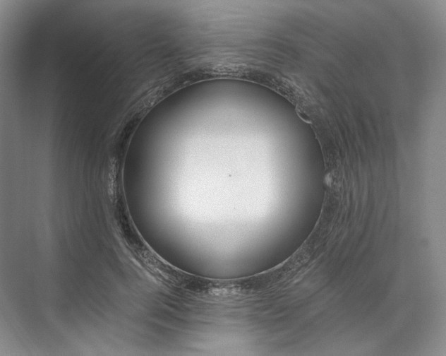 X0000073510744200608140934