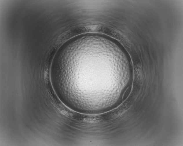 X0000073510745200608140934