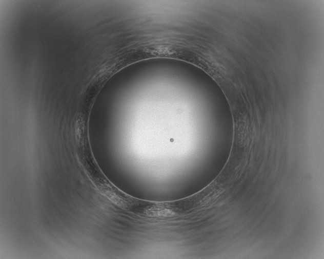 X0000073510747200608140934