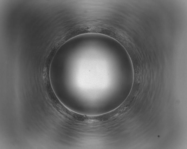 X0000073510748200608140934