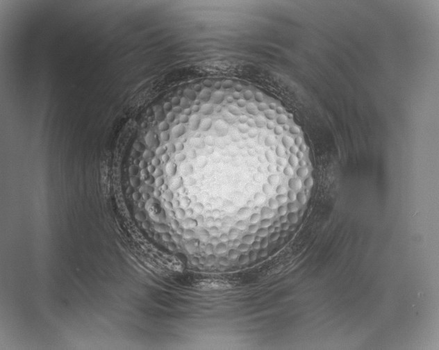 X0000073510749200608140934