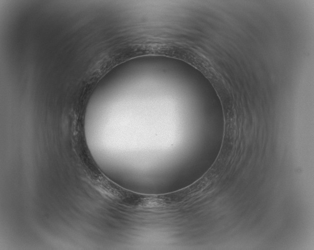 X0000073510750200608140934