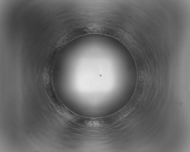 X0000073510751200608140934