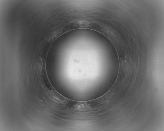 X0000073510752200608140934