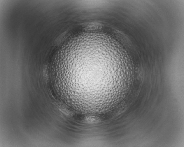 X0000073510753200608140934