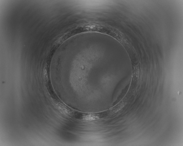 X0000073510754200608140934