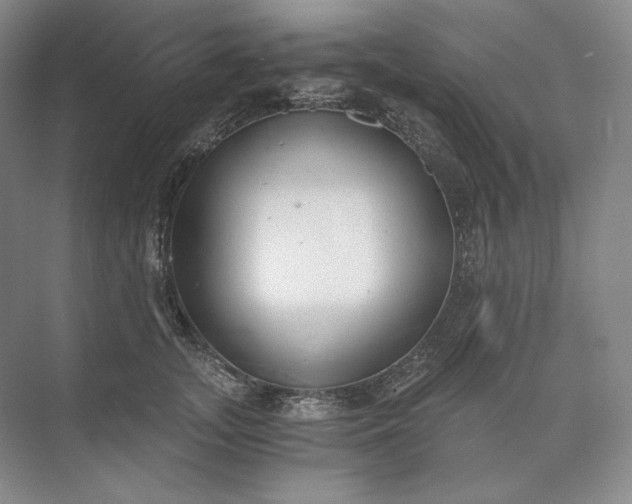 X0000073510755200608140934