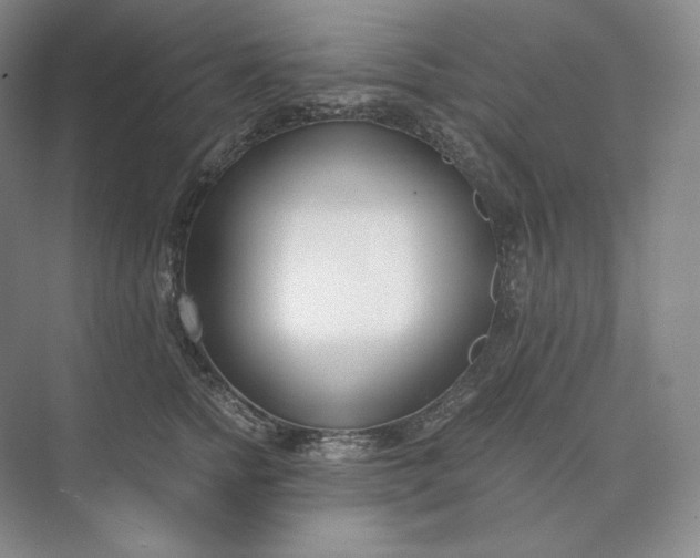 X0000073510758200608140934