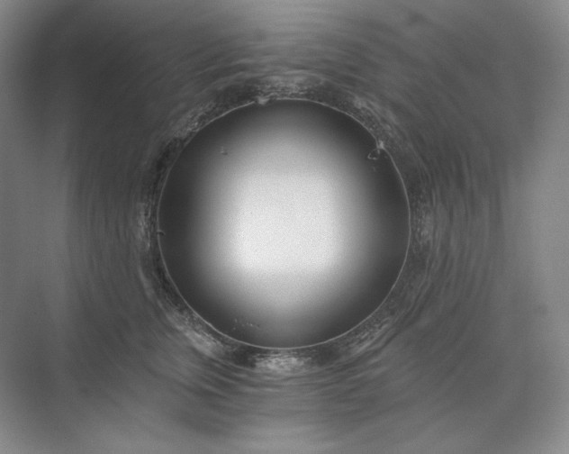 X0000073510759200608140934
