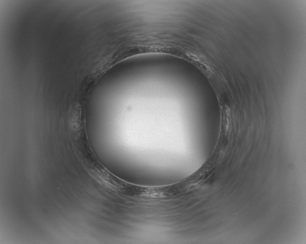 X0000073510760200608140934