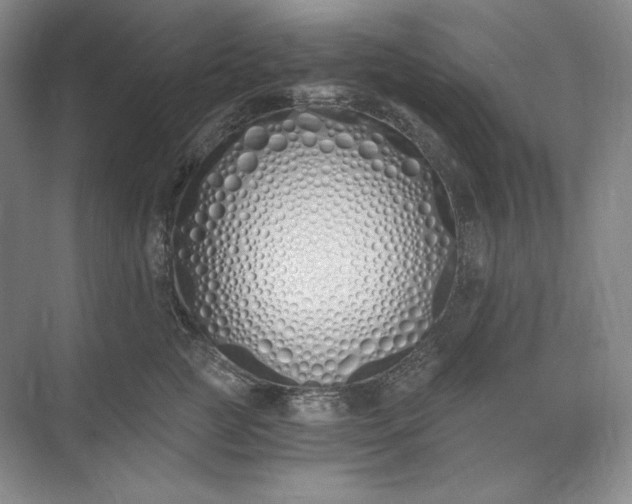 X0000073510761200608140934