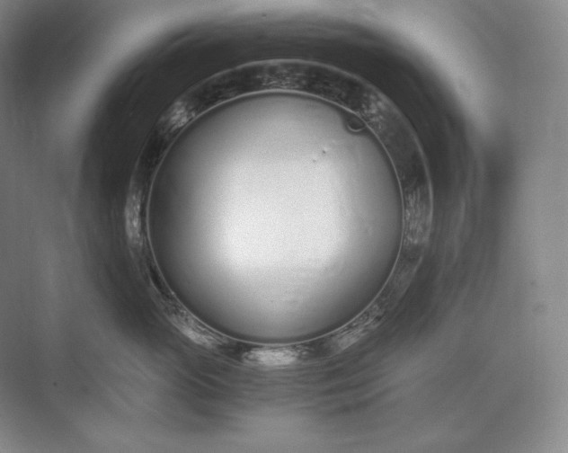 X0000073510765200608140934