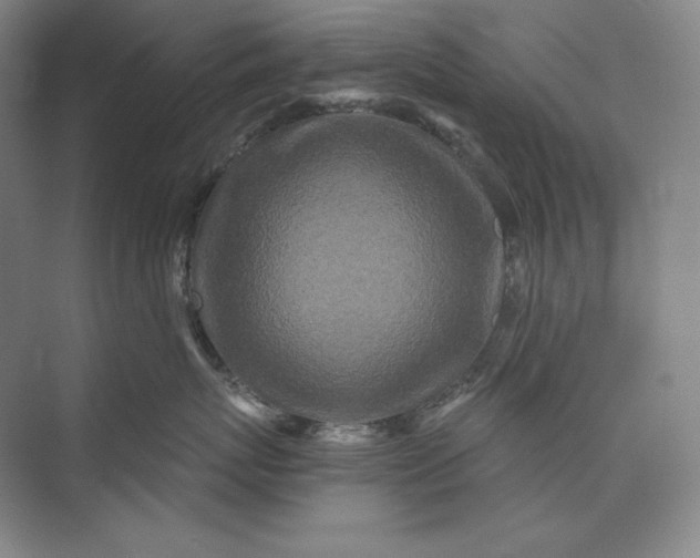 X0000073510767200608140934