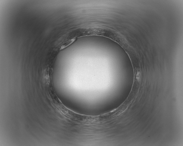 X0000073510771200608140933