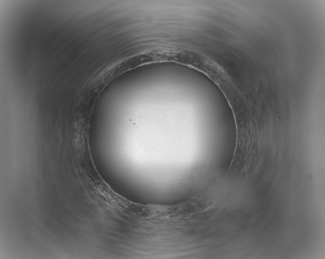 X0000073510773200608140933
