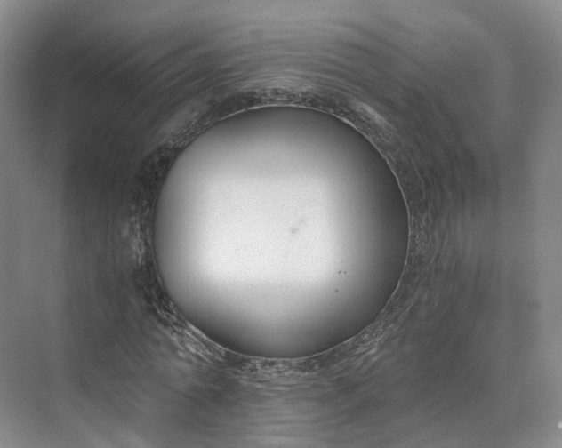 X0000073510774200608140933