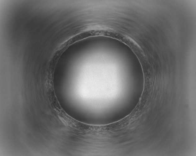 X0000073510775200608140933