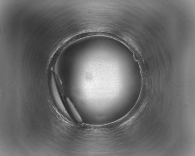 X0000073510781200608140933