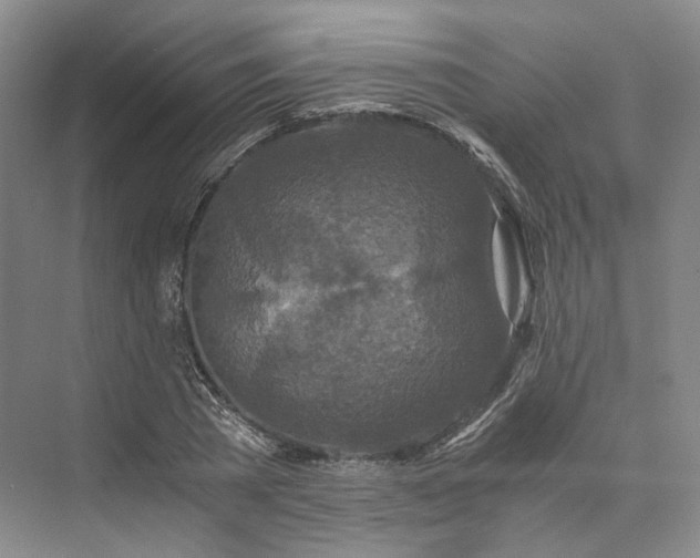 X0000073510785200608140933