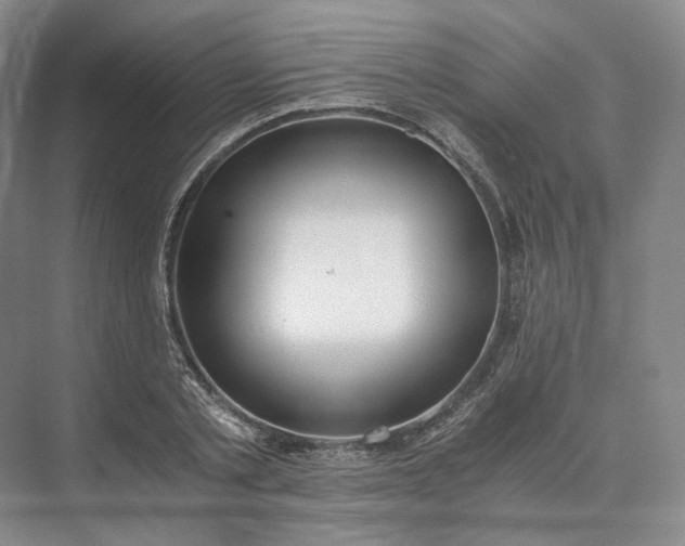 X0000073510789200608140933