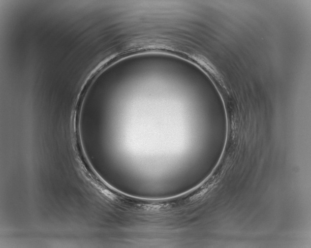 X0000073510790200608140933
