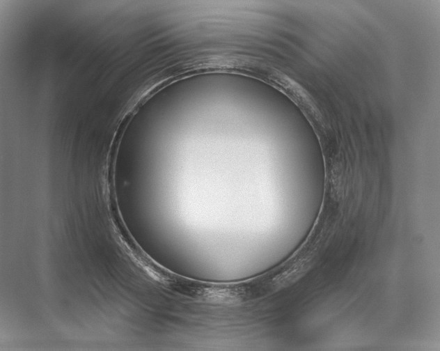 X0000073510794200608140933