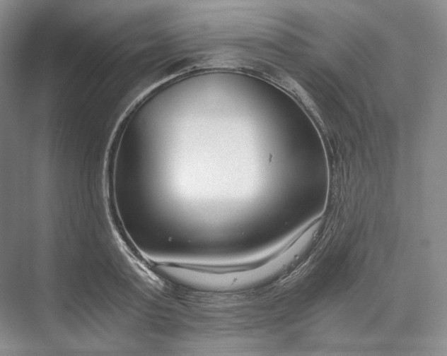 X0000073510795200608140933