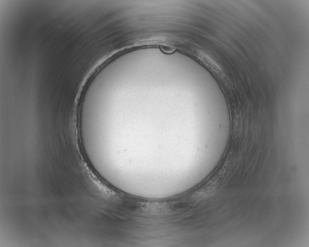 X0000073510800200608140933