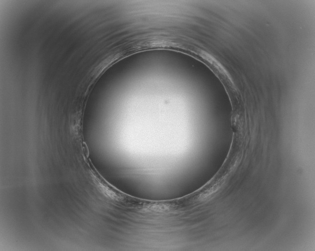 X0000073510801200608140933