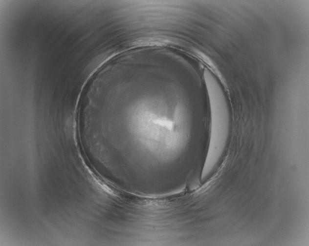 X0000073510802200608140933
