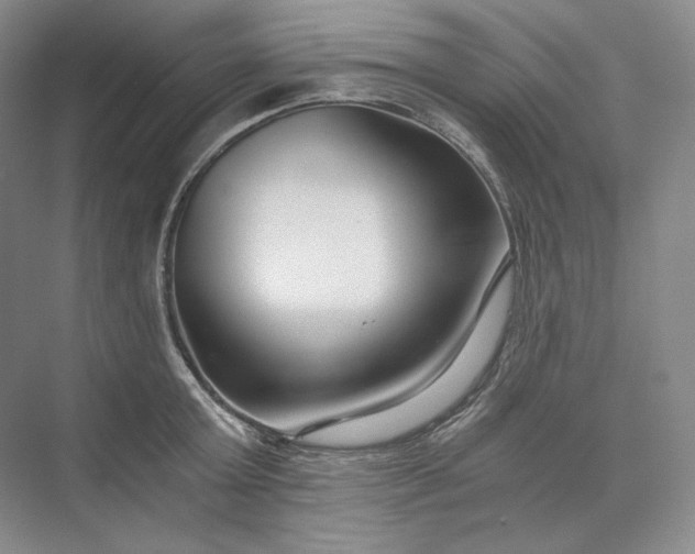 X0000073510803200608140933