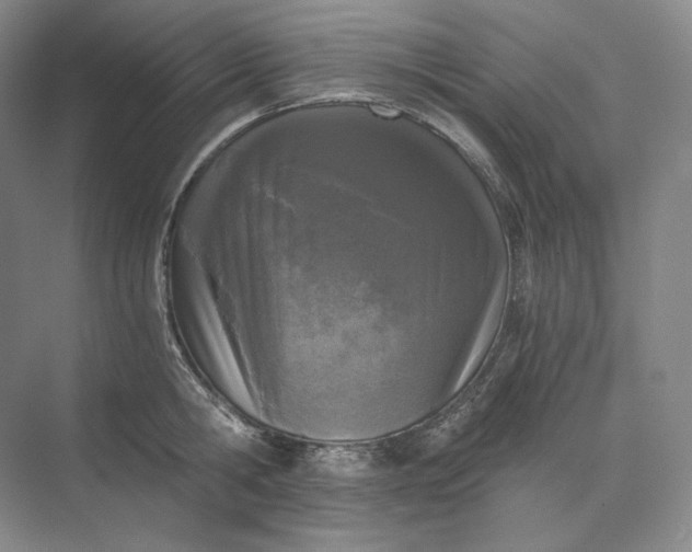 X0000073510806200608140933