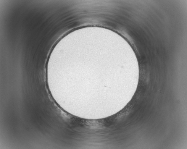 X0000073510807200608140932