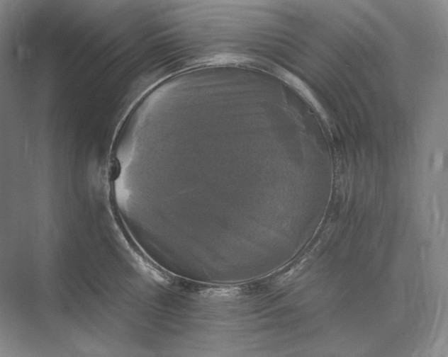 X0000073510810200608140932