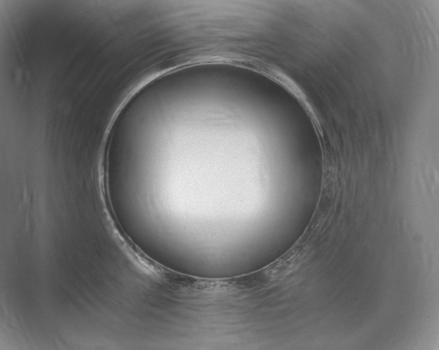 X0000073510811200608140932
