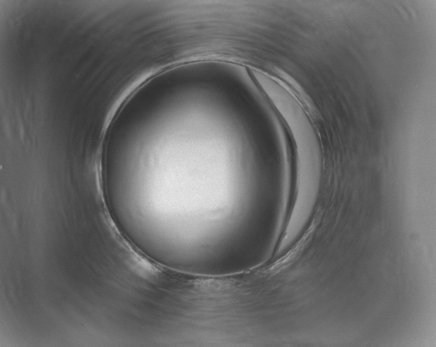 X0000073510812200608140932