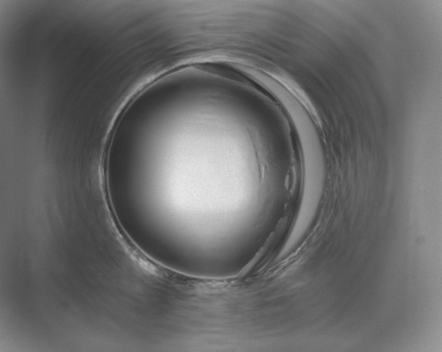 X0000073510813200608140932